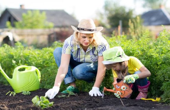 GUARDIANES DE LA TIERRA / TEJEDORES DE SUEÑOS