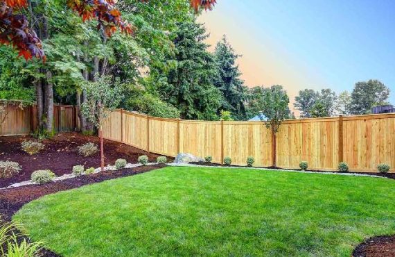 SEGURIDAD Y CONVIVENCIA